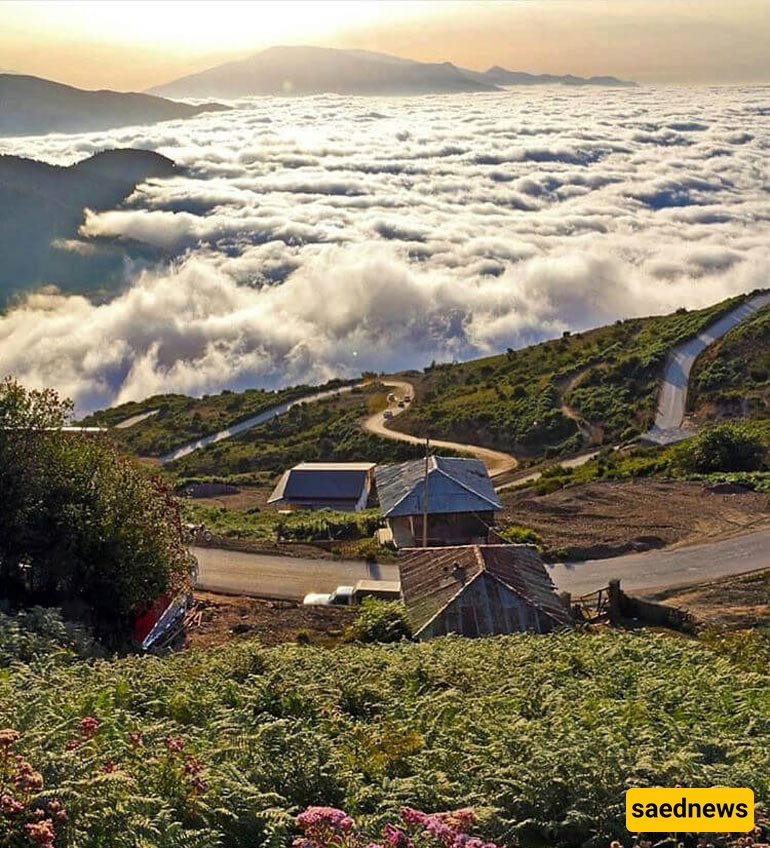 فیلبند
