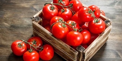 تعرّف على السعرات الحراریه والقیمه الغذائیه والفوائد الصحیه للطماطم!