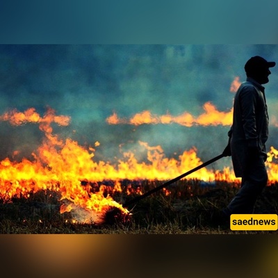 هدف ذاتی فاضح؛ إسرائیل تُشعل النار فی أراضیها الزراعیه + صور