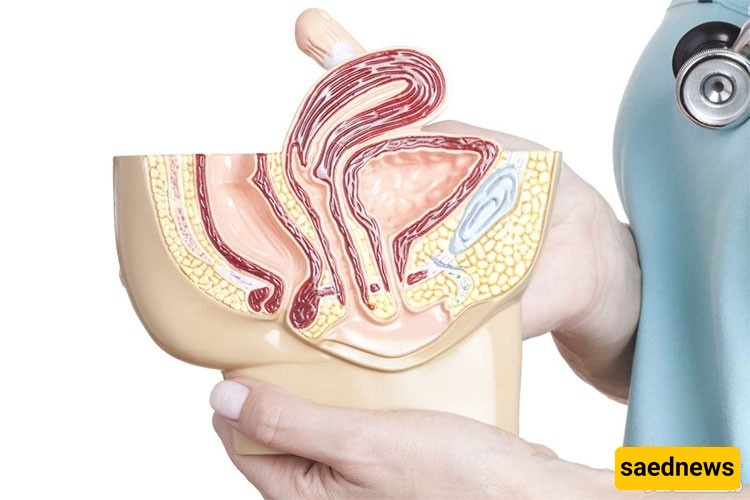 من آلام الظهر إلى سلس البول: أعراض أقل شهره للرحم المائل