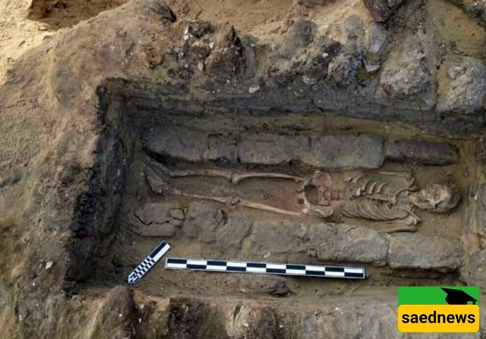 صور رائعه ومذهله / أسرار مخفیه تحت الأرض: اکتشاف قبر مصری یعود إلى 5000 عام ملیء بالأقنعه الغامضه