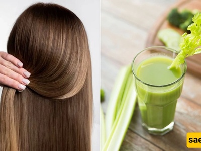 کیف یساعد الکرفس على تقویه الشعر وتعزیز صحته ومنحه لمعانًا طبیعیًا؟
