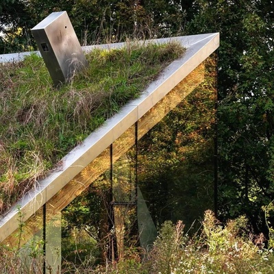 نظره مذهله على منزل أحلام بسقف یحتضن الطیور والخفافیش — منظر المطر وفنجان الشای على النافذه لا یُضاهى (صور)