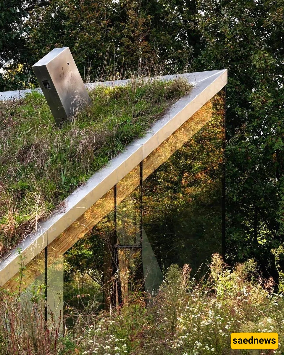 نظره مذهله على منزل أحلام بسقف یحتضن الطیور والخفافیش — منظر المطر وفنجان الشای على النافذه لا یُضاهى (صور)