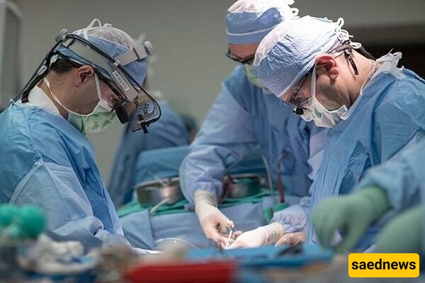 جراحه ناجحه لاستئصال ورم فی قاعده الجمجمه دون شق الرأس