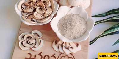 کیفیه صنع مسحوق الفطر فی المنزل