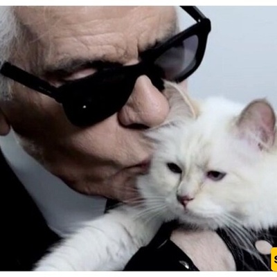 أغنى قطه فی العالم تحتفل بعیدها الحادی عشر على متن طائره خاصه—ونأمل أن تحظى القطط الضاله ببعض الحظ 😐 + صور