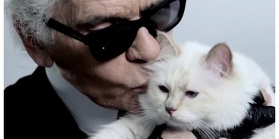 أغنى قطه فی العالم تحتفل بعیدها الحادی عشر على متن طائره خاصه—ونأمل أن تحظى القطط الضاله ببعض الحظ 😐 + صور