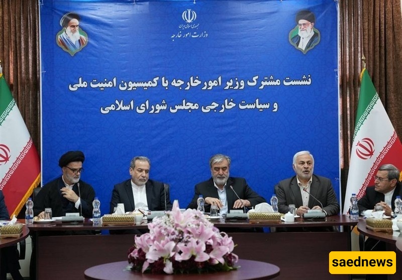 عراقجی: إیران مصممه على حمایه حقوقها النوویه