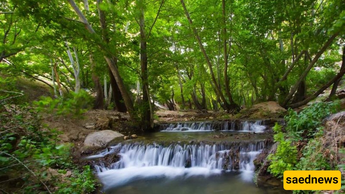 الجنه المفقوده