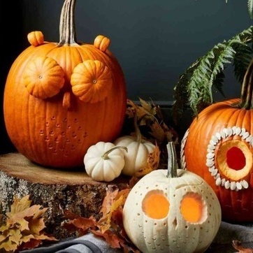 الیقطین: علاج طبیعی للسعال یجعل الخریف أسهل على الأمهات!