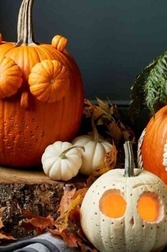 الیقطین: علاج طبیعی للسعال یجعل الخریف أسهل على الأمهات!