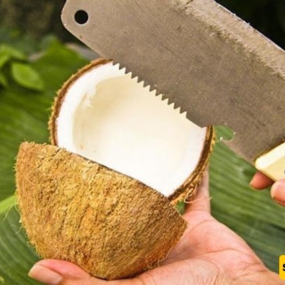 أفضل طریقه لتقشیر جوز الهند: بسیطه وخالیه من المتاعب