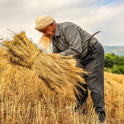 لغز وعاء حجری ضخم عُثر علیه فی حقل مزارع