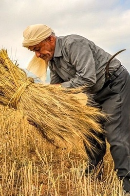 لغز وعاء حجری ضخم عُثر علیه فی حقل مزارع