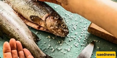 أفضل المکونات للتخلص من رائحه السمک: من قشور الحمضیات إلى الحلیب وغیرها