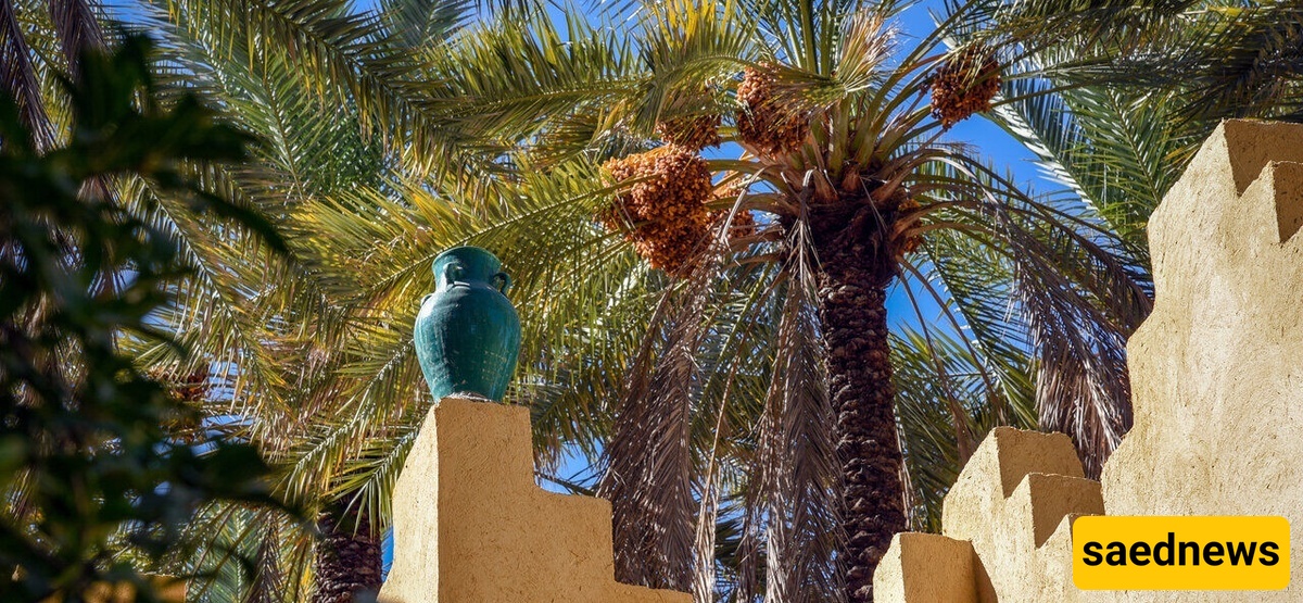 قریه دایرستان فی جزیره قشم تحتفل بمهرجان نوروز الزراعی الثانی