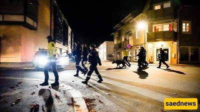 إطلاق نار فی مرکز تسوق أوسلو: توقیف المشتبه به