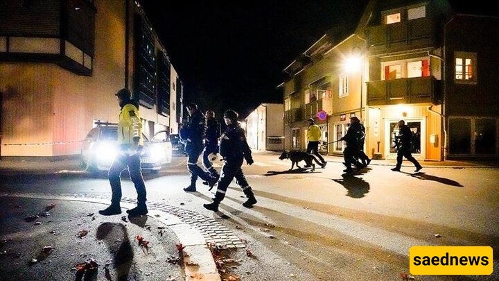 إطلاق نار فی مرکز تسوق أوسلو: توقیف المشتبه به