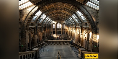 The most famous free museums in the world
