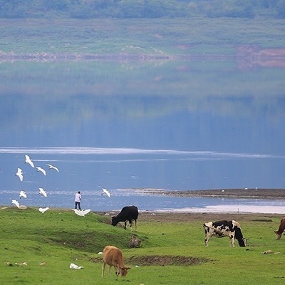 سد لَفور.. الجوهره الخفیه بین أحضان طبیعه مازندران