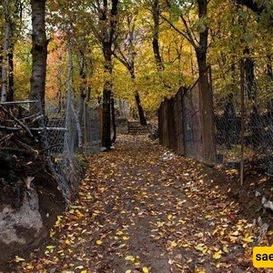 هروب خریفی ساحر إلى أجمل قریه قریبه من طهران: إغیل – ذکریات لا تُنسى بانتظارک! + فیدیو