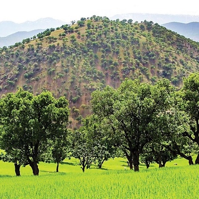 طبیعه کردستان فی الربیع: جنه مزدهره فی إیران