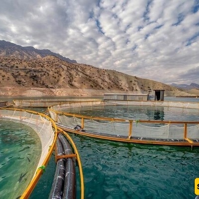 طهران تستضیف الدوره التاسعه من معرض الصناعات السمکیه الدولی (IFEX)