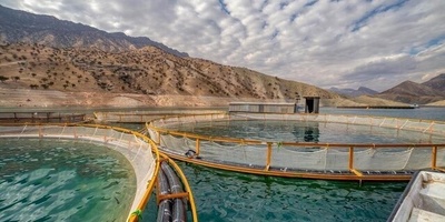 طهران تستضیف الدوره التاسعه من معرض الصناعات السمکیه الدولی (IFEX)