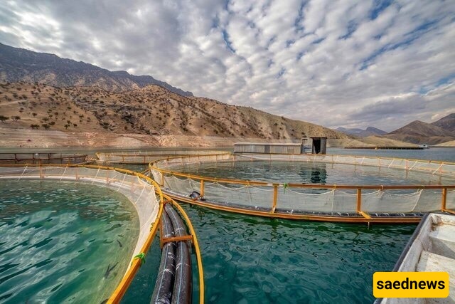 طهران تستضیف الدوره التاسعه من معرض الصناعات السمکیه الدولی (IFEX)