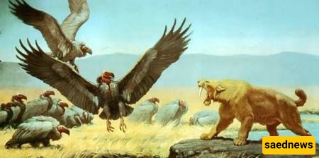 تیراتورنس (Teratornis)