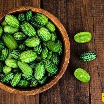 ما هو الخیار المکسیکی (کوکامیلون)؟ فوائده، مذاقه، نصائح لزراعته، واستخداماته