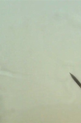 حزب الله یعلن خوض حرب الانتقام ضد إسرائیل