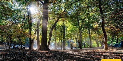 روعه الخریف فی غابه تششمه لال