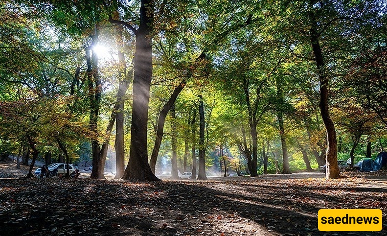 روعه الخریف فی غابه تششمه لال