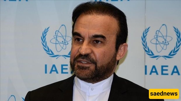 ممثلا إیران والوکاله الدولیه للطاقه الذریه یجتمعان بفیینا ویحرزان تقدما