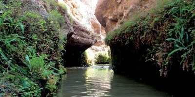 خور قاهان: جنه رباعیه الفصول فی قلب صحراء قم