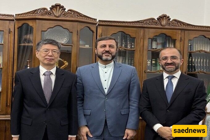 غریب آبادی: الأوروبیون لا یملکون الحق القانونی فی تفعیل آلیه الزناد