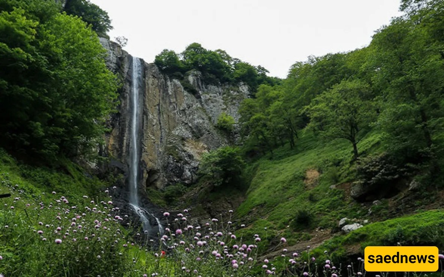 بحیره سوها