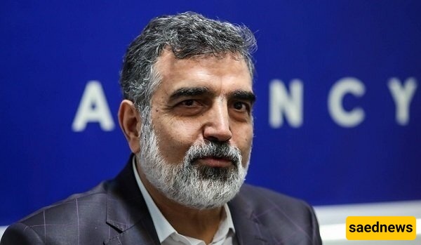 إیران تنتقد الوکاله الدولیه للطاقه الذریه بشأن مراجعه متحیزه لبرنامجها النووی