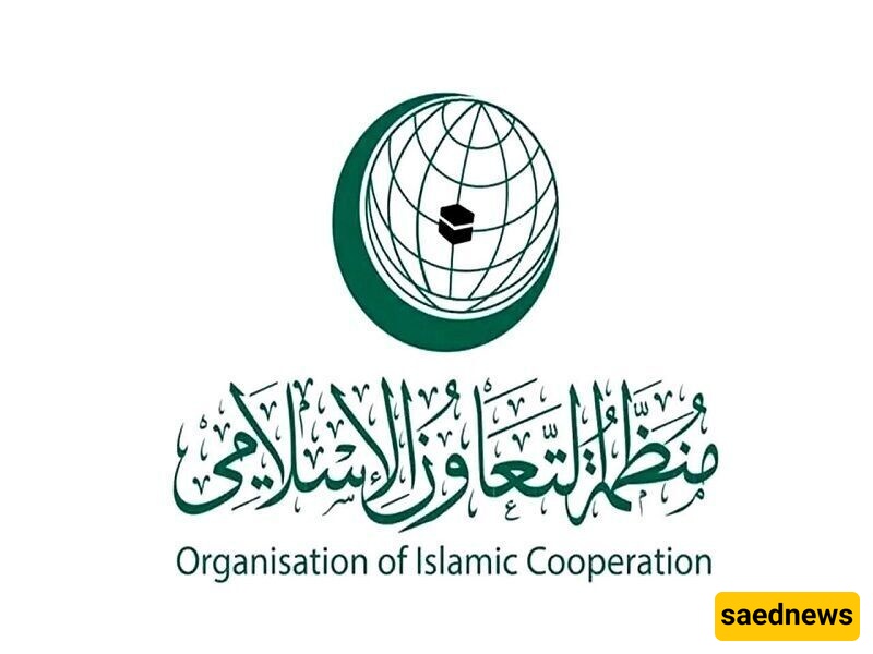منظمه التعاون الإسلامی تدعو لتعلیق عضویه "إسرائیل" فی الأمم المتحده
