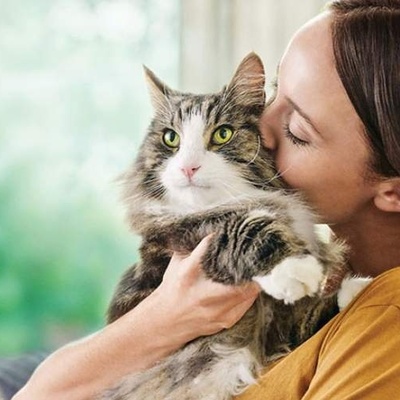 مالکو القطط معرضون لخطر حاله صحیه عقلیه خطیره — یقول الباحثون، لیس نحن!