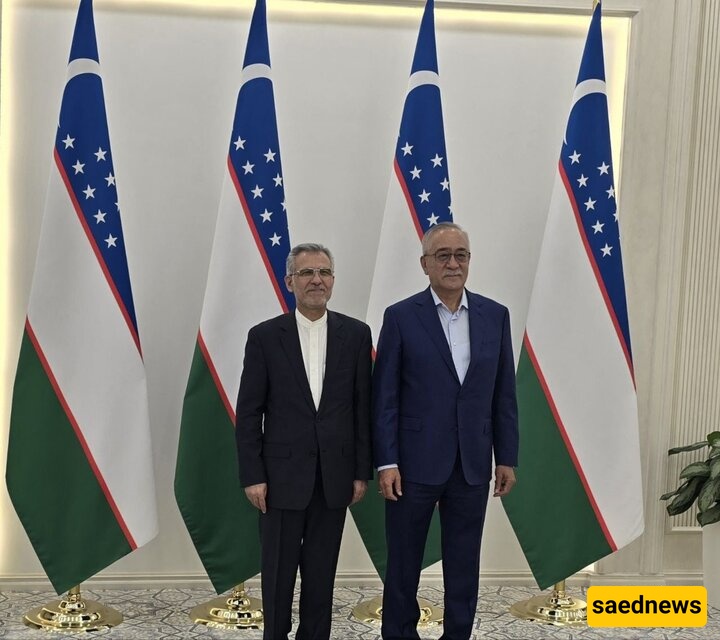 مشاورات سیاسیه للمدیر العام لشؤون جنوب آسیا بوزاره الخارجیه الایرانیه فی طشقند