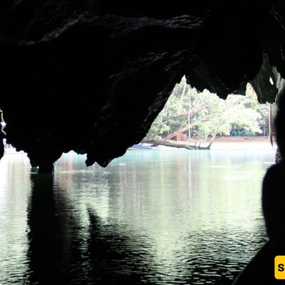 اکتشاف مخلوق نادر یشبه "الیونیکورن" فی کهف مائی بالصین + صور