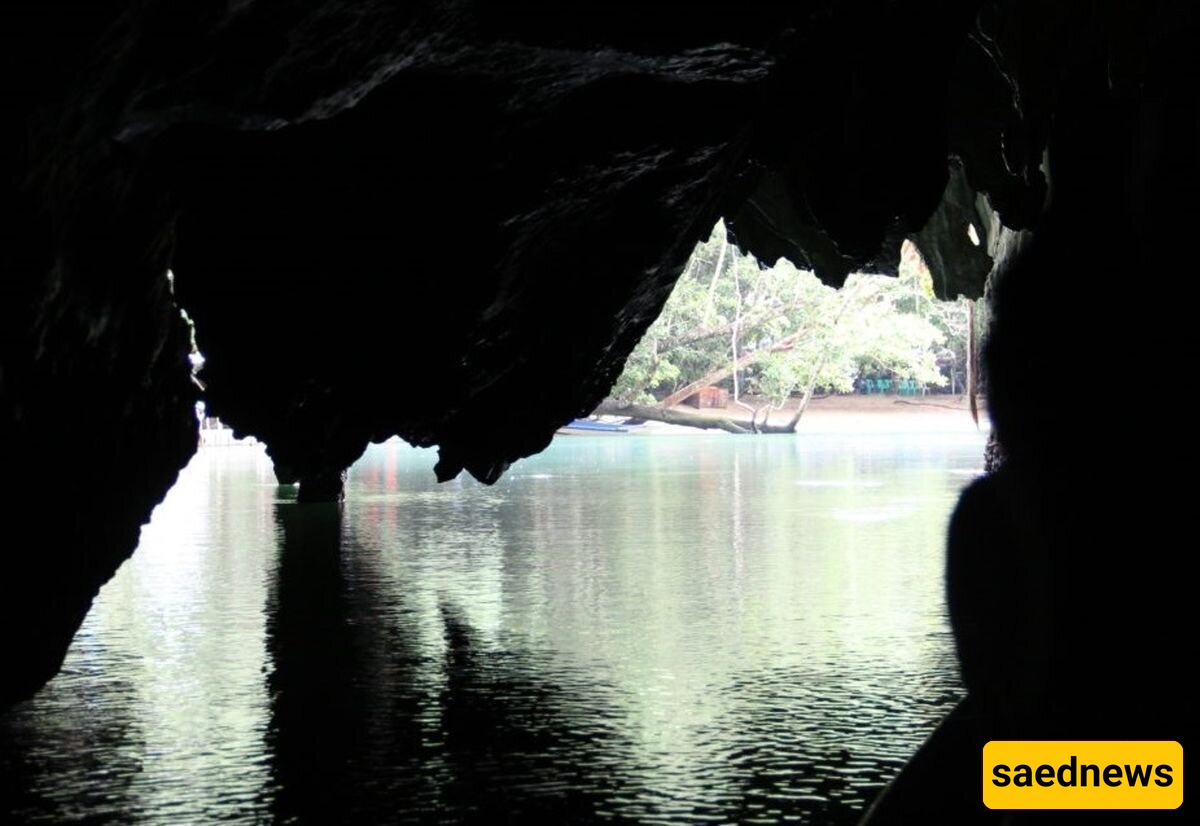 اکتشاف مخلوق نادر یشبه "الیونیکورن" فی کهف مائی بالصین + صور