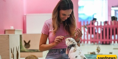 افتتاح أول مقهى للأرانب