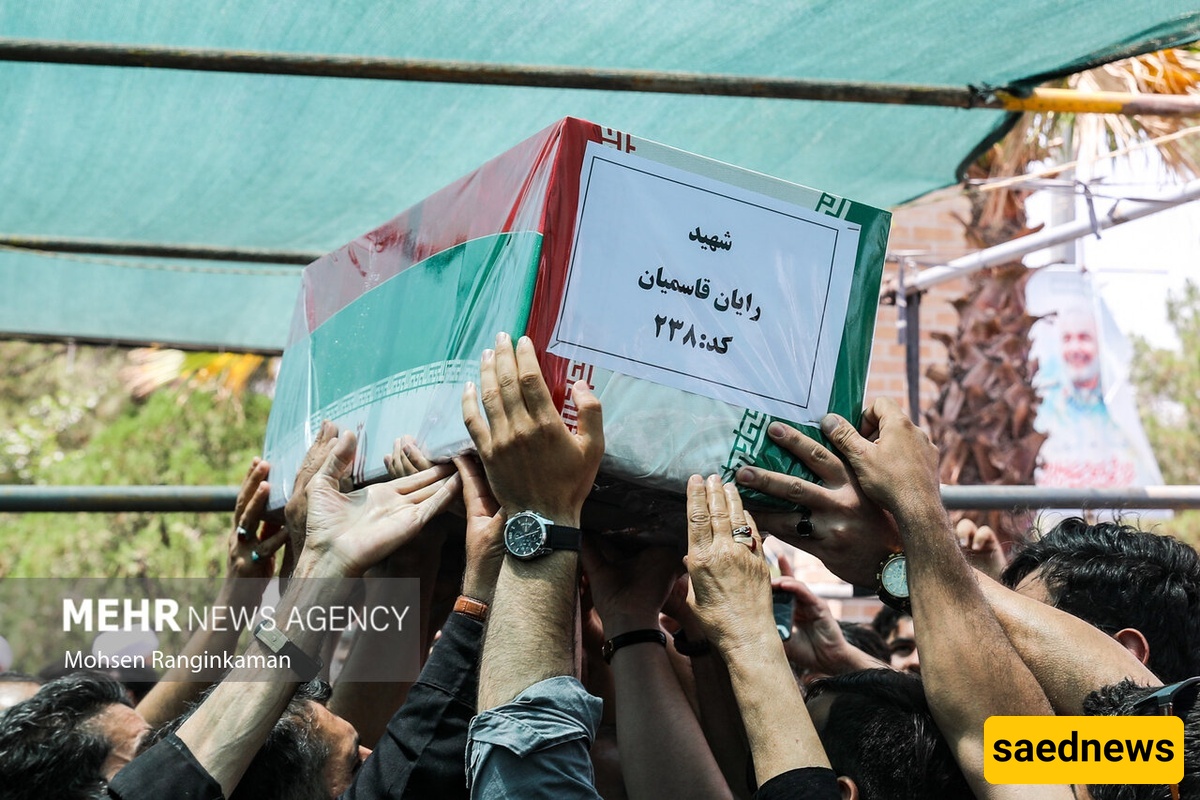 رایان قاسمیان