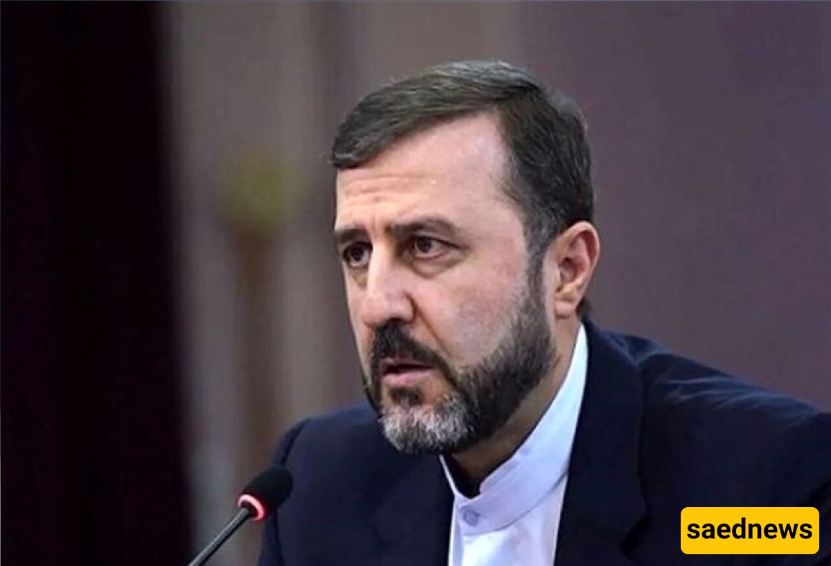 غریب آبادی: تفعیل آلیه الزناد سیؤثر على تعامل إیران مع الوکاله الذریه