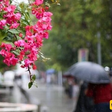 صوره | وداع الصیف مع أمطار غزیره فی رشت