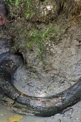 جسم غامض على ضفاف النهر یتضح أنه قطعه من العاج عمرها 10,000 عام [صور]